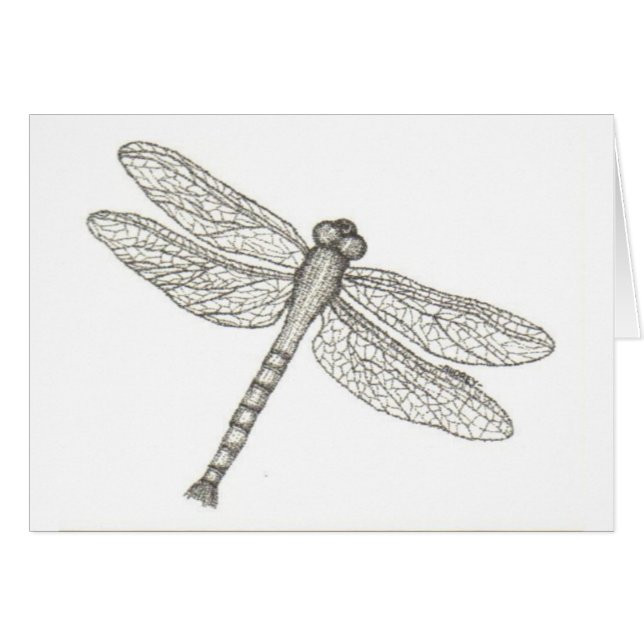 bw_dragonfly05 001 (Vorderseite (Horizontal))