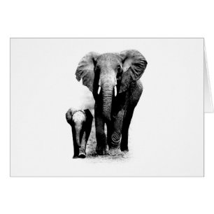 BW-Elefant u. Baby-Elefant