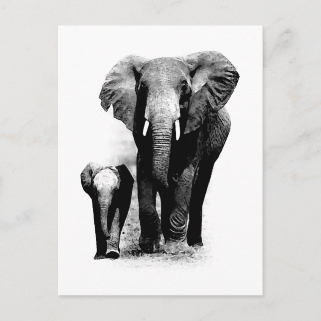 BW Elephant & Baby Elephant Postkarte (Vorderseite)