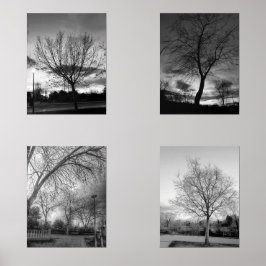 BW-Fotografie von Bäumen Bilderwand Sets
