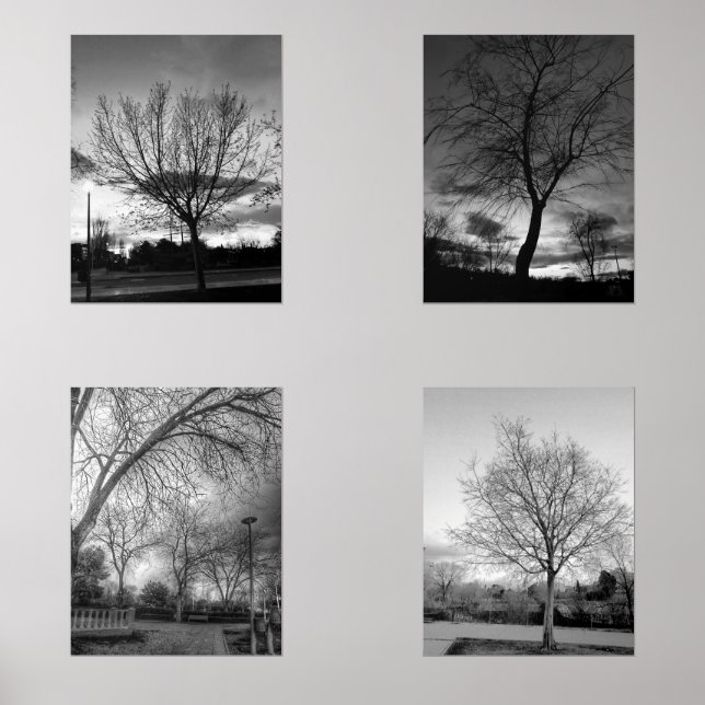 BW-Fotografie von Bäumen Bilderwand Sets (Vorderseite)