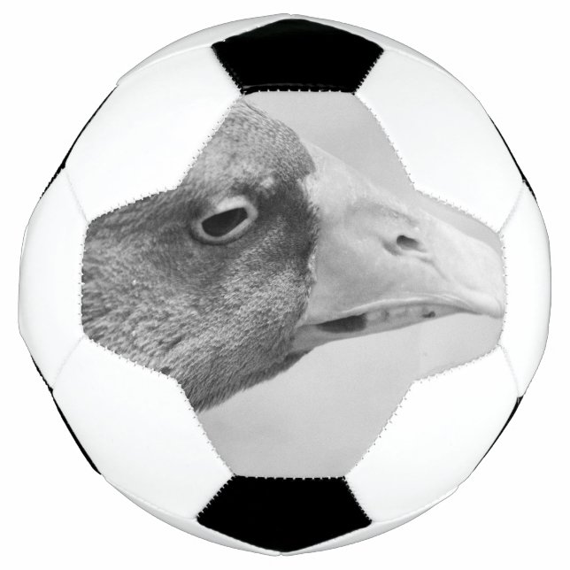 BW Goose Fußball (Vorderseite)