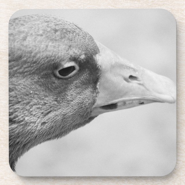 BW Goose Getränkeuntersetzer (Vorderseite)