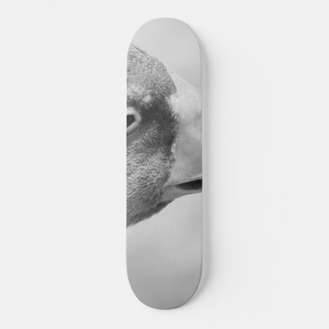 BW Goose Skateboard (Vorderseite)