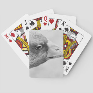 BW Goose Spielkarten