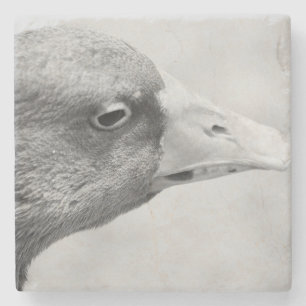 BW Goose Steinuntersetzer