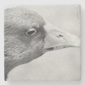 BW Goose Steinuntersetzer