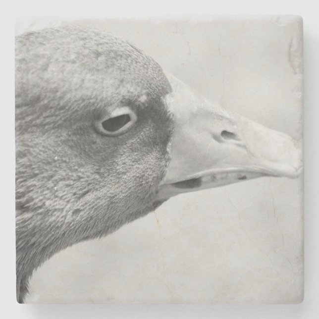 BW Goose Steinuntersetzer (Vorderseite)