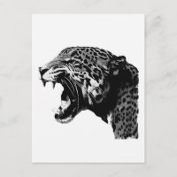 BW Jaguar