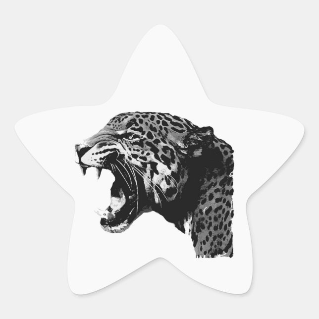 BW Jaguar Star Stickers (Vorderseite)