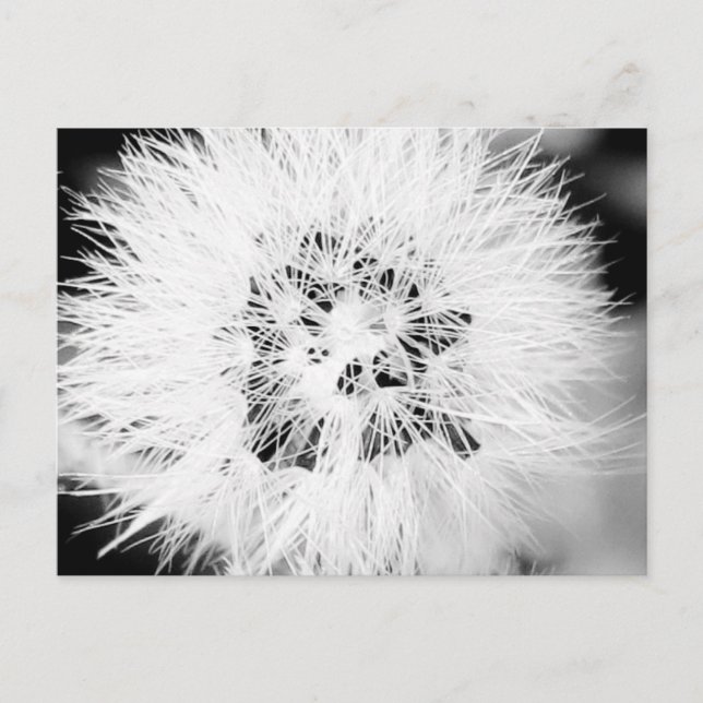 bw. * postkarte (Vorderseite)