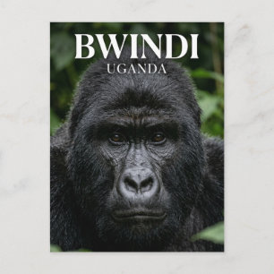 Bwindi Impenetrable Forest Uganda Postkarte