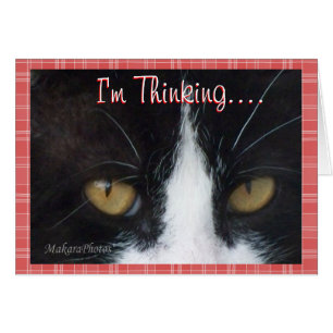 BWThinking......personnaliser
