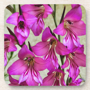 Byzantine Gladiolus Getränkeuntersetzer