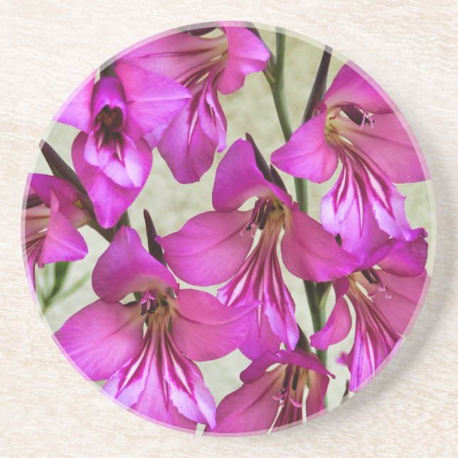 Byzantine Gladiolus Getränkeuntersetzer (Vorne)