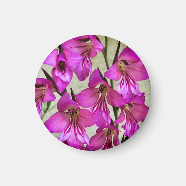Byzantine Gladiolus Magnet (Vorne)