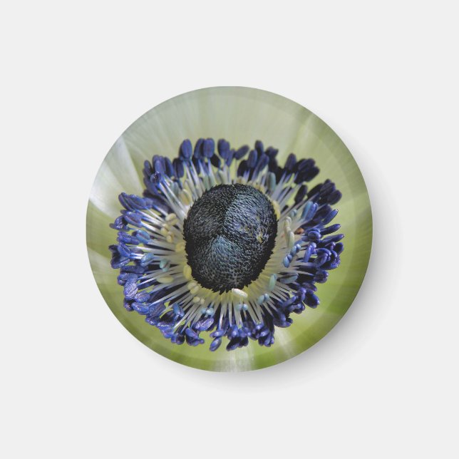 Byzantine Gladiolus Magnet (Vorne)