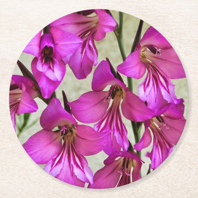 Byzantine Gladiolus Runder Pappuntersetzer (Vorderseite)