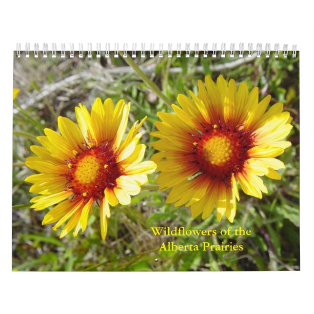 C12 Wildblumen der Prärien Alberta Kalender (Titelbild)