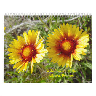C12 Wildblumen der Prärien Alberta Kalender