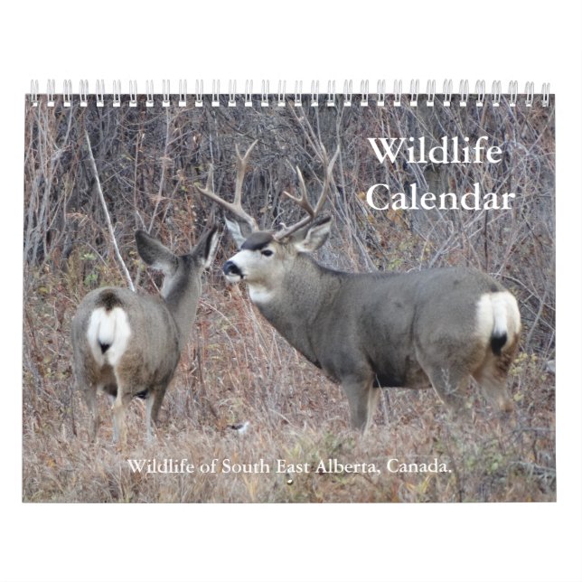 C13 Calendrier des espèces sauvages (Protection)