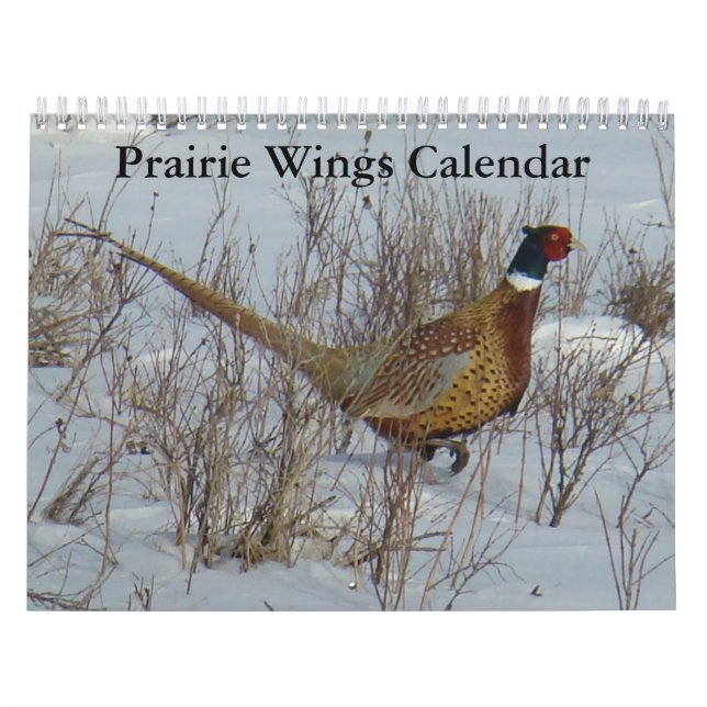C8 Prairie Wings Kalender (Titelbild)