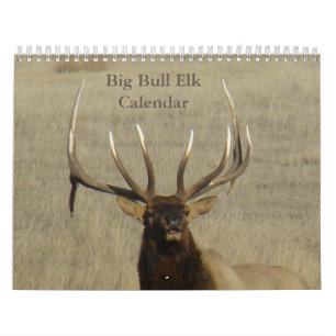 C9 Big Bull Elk Calendar Kalender