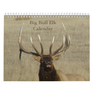 C9 Big Bull Elk Calendar Kalender