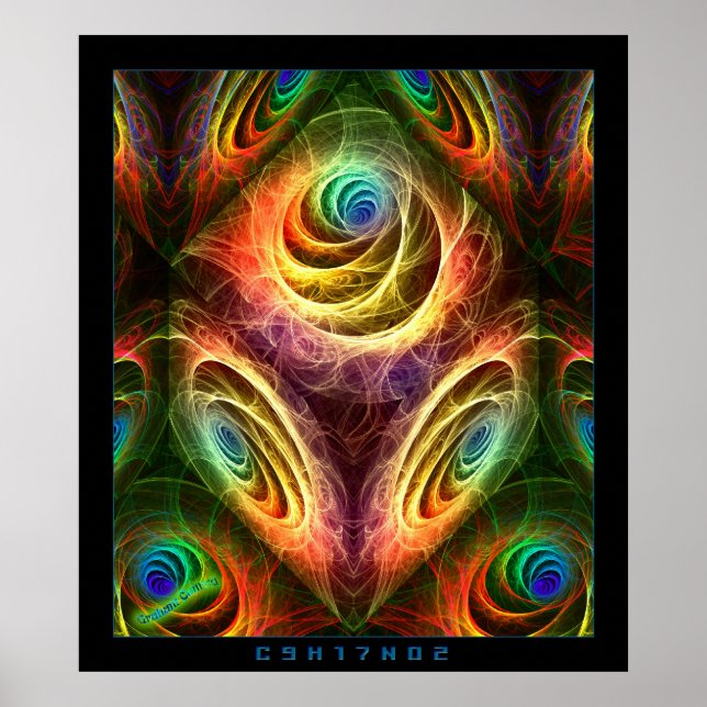 C9H17NO2-Infusion Poster (Vorne)