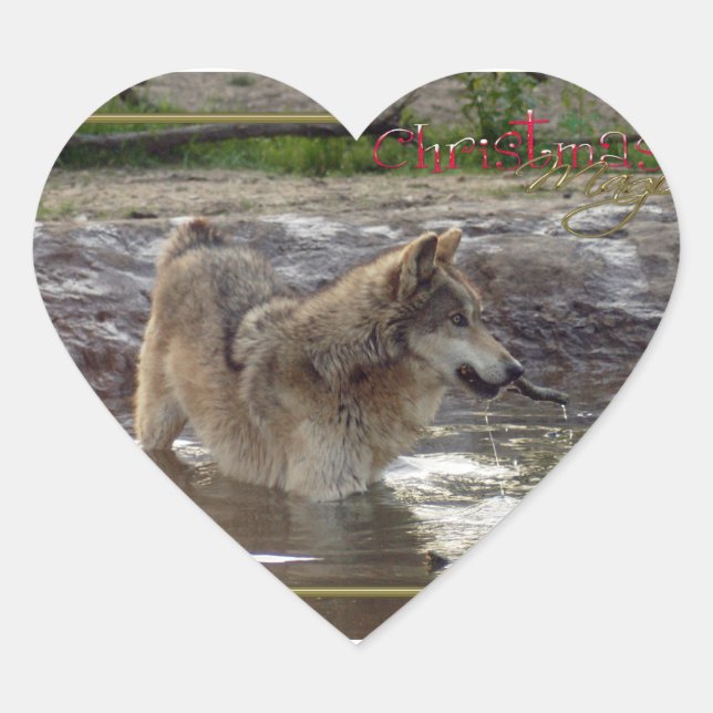 c-2011-grau-wolf-005 Herz-Aufkleber (Vorderseite)