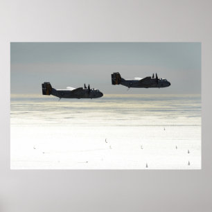 C-2A Windhunde Poster