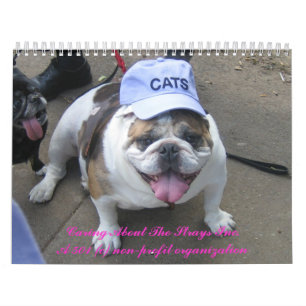 C.A.T.S. Kalender 2009