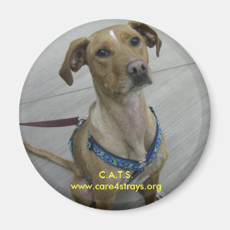 C.A.T.S. Magnet
