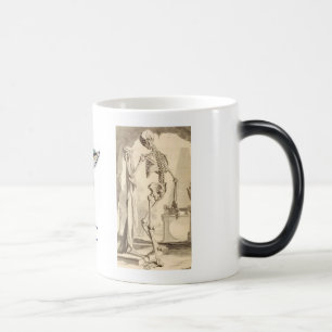 C&C TASSE