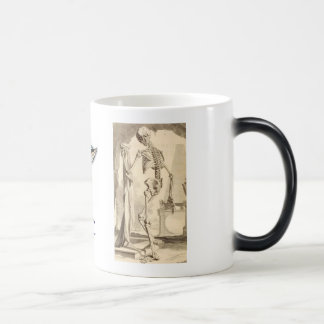 C&C TASSE