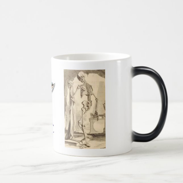 C&C TASSE (Rechts)