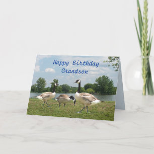 C. Gans-fertigen jede mögliche Gelegenheit Karte