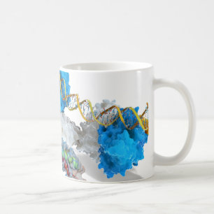 c-Myc und Kerbe, die DNS binden Kaffeetasse