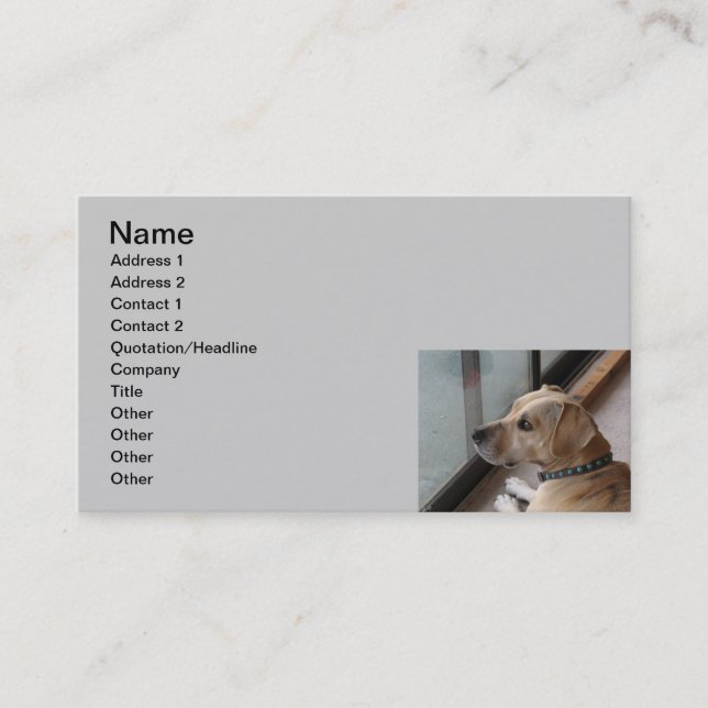 CA cartes de visite se reposants d'animal familier (Devant)