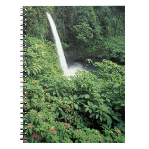 CA, Costa Rica. La-Paz-Wasserfall und Impatiens Notizblock