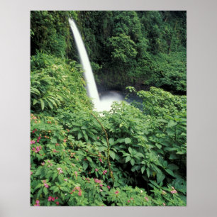 CA, Costa Rica. La-Paz-Wasserfall und Impatiens Poster