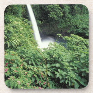 CA, Costa Rica. La-Paz-Wasserfall und Impatiens Untersetzer