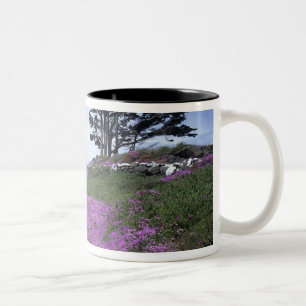 CA, Crescent City, Battery Point Leuchtturm mit Zweifarbige Tasse