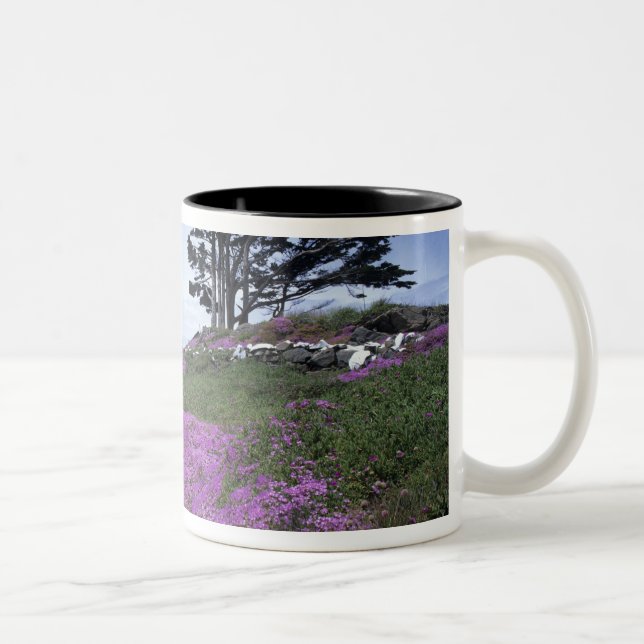 CA, Crescent City, Battery Point Leuchtturm mit Zweifarbige Tasse (Rechts)