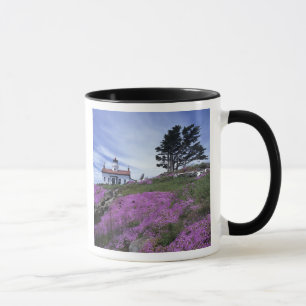 CA, Crescent City, Leuchtturm Battery Point mit Tasse