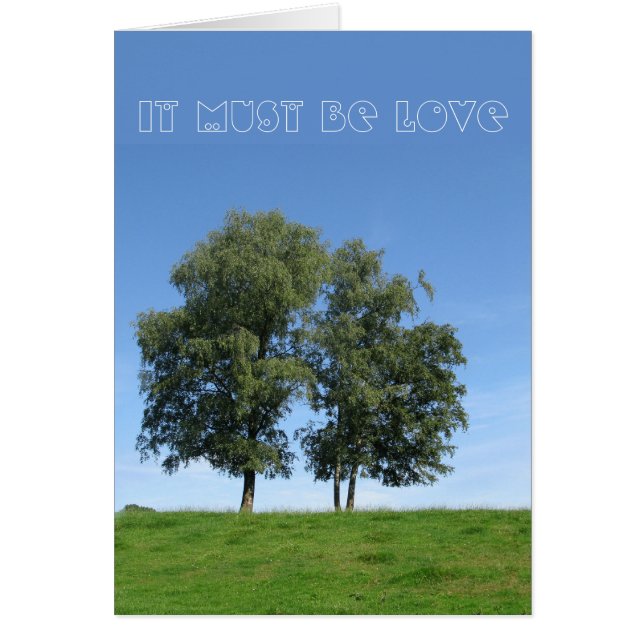 Ça doit être l'amour (Devant)