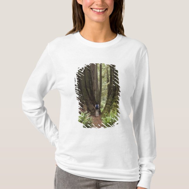 CA, Jedediah Smith Redwoods Staat Park, T-Shirt (Vorderseite)