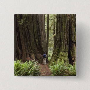 CA, Jedediah Smith Redwoods State Park, Button