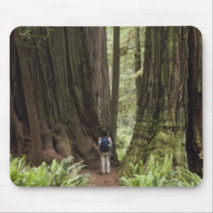 CA, Jedediah Smith Redwoods State Park, Mousepad