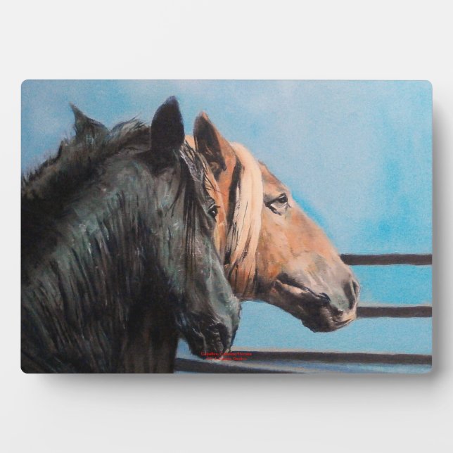 Caballos/Cabalos/Pferde Fotoplatte (Vorderseite)